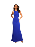 Royal Blue Dress