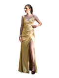 Gold Dress